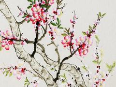 5月14日生日花：普通牡丹花 5月14日的生日花是什么