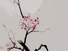 63年屬兔的晚年生活如何,1963年屬兔晚年運勢及運程