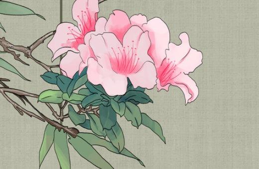 批八字算結婚日子 看八字算結婚的黃道吉日
