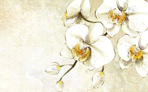 屬猴的今年多大歲數(shù),屬猴的今年多大歲數(shù),80年出生的