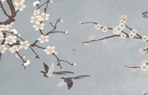 屬虎與屬兔的婚配如何，屬虎和屬兔婚配好嗎