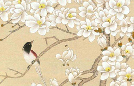 屬虎屬龍的家客廳掛什么圖畫好,屬龍屬虎家里養(yǎng)什么花好？