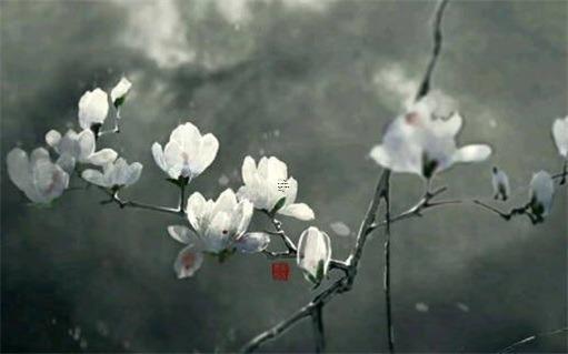 老公和異性聊天你會(huì)原諒嗎 老公和異性聊天你會(huì)原諒嗎為什么