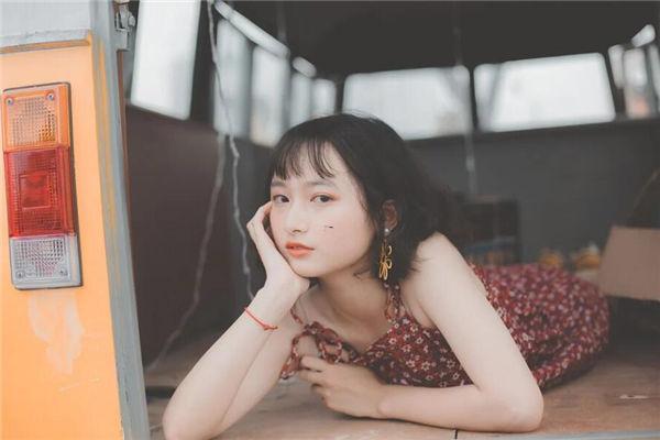 夢見仙人掌
