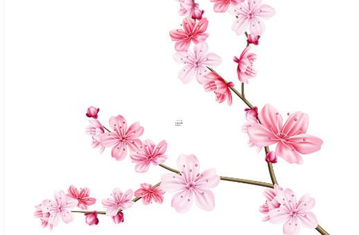 八字四柱詳解竅門視頻講解 四柱八字視頻教程