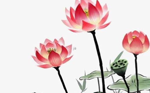 男屬虎女屬馬婚姻相配好嗎 男屬虎女屬馬能婚配嗎