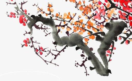 如何網(wǎng)八字環(huán)上綁魚鉤 八字環(huán)綁魚鉤方法
