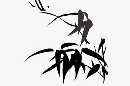 41歲屬猴是哪一年,41歲屬猴的今年命運怎么樣