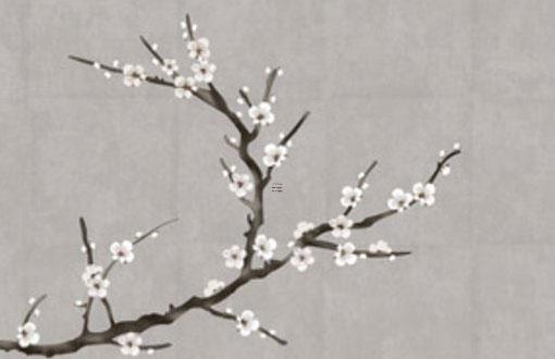 算八字上的壽命準不準 八字算壽命到底準不準