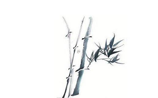 算命說花園不干凈是什么意思 算命先生說花園指的是什么