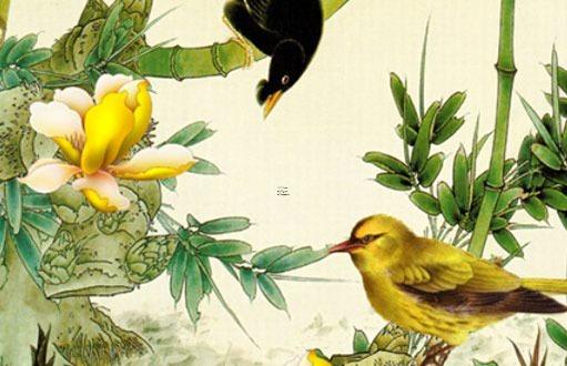 屬兔的男生99年出生,屬兔男99年一生婚姻狀況 屬兔的男生99年出生,屬兔男99年一生婚姻狀況