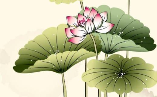 盲派命理精華二 盲派命理教學視頻