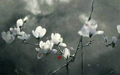 算命說(shuō)婚姻過(guò)不到頭 算命的說(shuō)我婚姻不好