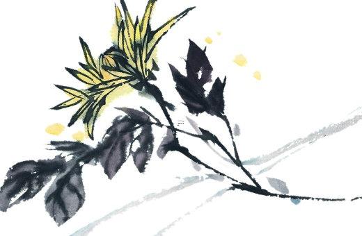 屬虎生肖運程 屬虎人生肖運勢