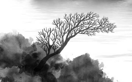 備孕生女兒需要做些什么準(zhǔn)備 備孕生女兒做些什么準(zhǔn)備吃什么