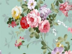 79年屬羊2024年的全年運(yùn)勢 1979年在2024年運(yùn)程