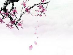 手機(jī)吉兇號(hào)查詢號(hào)碼 手機(jī)吉祥號(hào)測(cè)兇吉