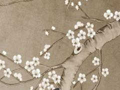87年屬兔男一生婚姻緣分,87年屬兔男2023年婚姻最終歸宿