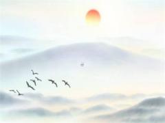 八字寅巳申三刑大富貴 寅巳申三刑代表什么