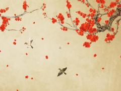 為什么不要愛(ài)上獅子女 賴(lài)貓愛(ài)上獅子電視劇