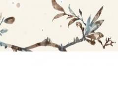 2024年十二生肖適合結(jié)婚的月份 2024年結(jié)婚有什么寓意嗎