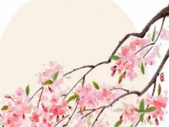 算命是盈是什么意思啊 算命盈字的意思