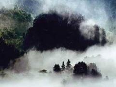 2024年是五行什么年 2024年是五行什么年對應哪個***