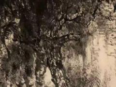 曾國藩八字殺不透分析 高手解析曾國藩的八字