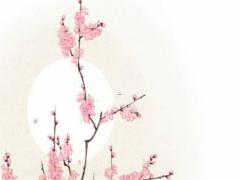 吳昕八字看姻緣 吳昕的八字