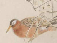 最能哄中年男人的話都有哪些 哄中年人開心的聊天技巧