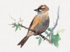 算命批八字算的很準嗎 算命算八字真的準嗎