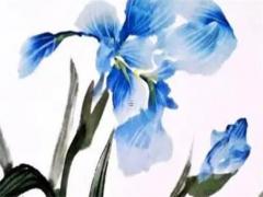 1986屬虎女人外遇 86年屬虎女會***嗎