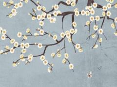 生辰八字算命莆田 生辰八字算命老師