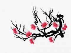 夫妻八字流年相刑會發生什么意思 夫妻流年一模一樣的好壞