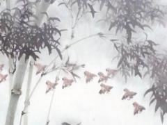 人背運(yùn)怎么才能轉(zhuǎn)運(yùn) 人運(yùn)氣背的時(shí)候怎么轉(zhuǎn)運(yùn)