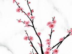 排盤后的八字怎么看 八字排盤后怎么看婚姻