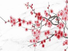 為什么八字算命那么準 八字算命為什么準