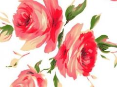 婚姻緣分靠自己爭取 婚姻靠緣份