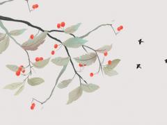 女人學佛有福面相特征 學佛的女人面相柔和