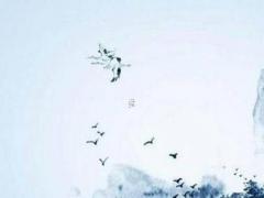 88年的龍在2024年的每月運勢 88年屬龍人2024年運勢運程每月運程