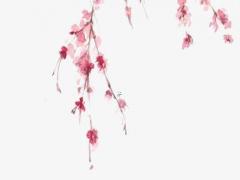 新月和滿月是指哪一天 新月滿月的區(qū)別