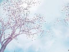 女生清冷孤傲的古風網名，冷孀無心嘆無情