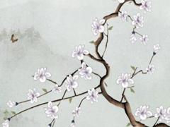 屬龍女2024年運(yùn)勢(shì)如何呢,屬龍人在2024運(yùn)勢(shì)女性怎樣