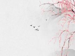 八字算出對象外貌特征準不準 八字看對象外貌準確嗎