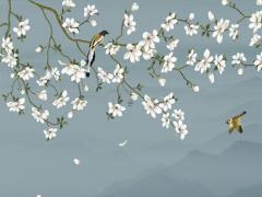 水果催熟的芒果孕婦能吃嗎有毒嗎圖片 催熟芒果后的蘋果可以吃嗎