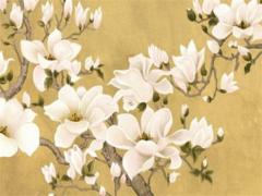 63年兔的婚配生肖 63年的兔配什么生肖好