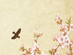 屬豬人今年姻緣怎么樣,屬豬人今年的婚姻財運怎么樣