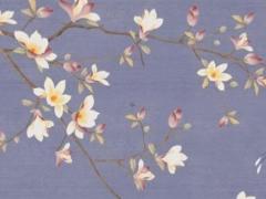 屬龍女不找什么屬相男,屬龍女找屬什么的男生為好