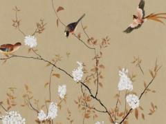 女人屬虎配屬龍好不好 屬虎的女人配屬龍的男人好嗎?