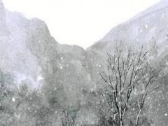 72年屬鼠女能戴朱砂戒指嗎,72年屬鼠女佩戴什么旺財